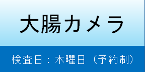 大腸内視鏡検査